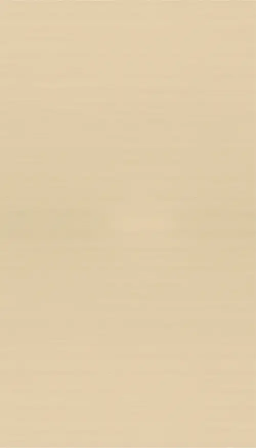 琉川白茶